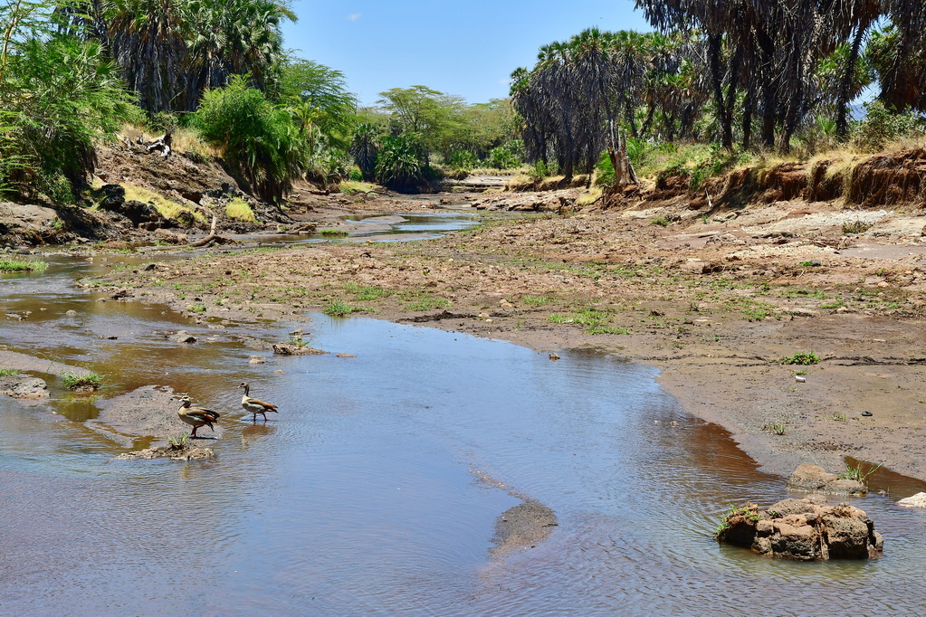 Tsavo West National Park